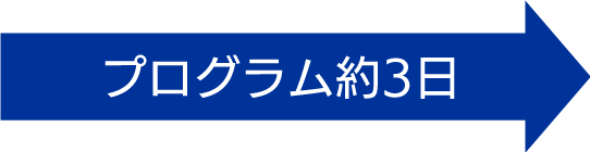 プログラム約3日