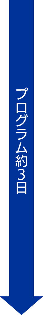 プログラム約3日